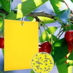 2023 - 100 Stycken Gula Dubbelsidiga Flugfällor, Dubbelsidiga Gula Fällor För Flygande Insekter - Växthus