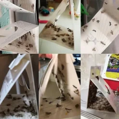 10 st flugfällor för att döda flugor och malar nemesis hushåll små insektsartefakter rismjöl mal klibbig rismal gnat malfälla