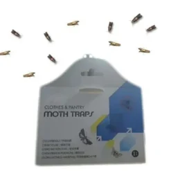 10 st flugfällor för att döda flugor och malar nemesis hushåll små insektsartefakter rismjöl mal klibbig rismal gnat malfälla