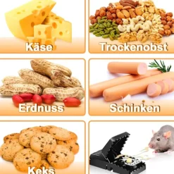 10 st återanvändbara musfällor med betesbehållare