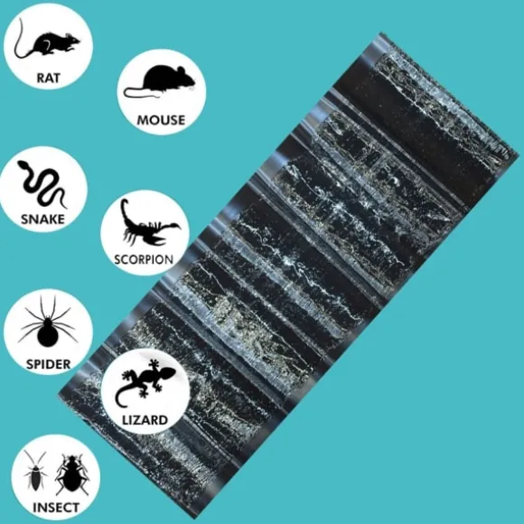 (ca) Klisterfälla för möss 5-pack Svart M .CA