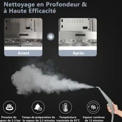 Handdammsugare med ångfunktion 1000W COSTWAY för vägglöss 300 ml tank 10 tillbehör Temperatur 95°C Tryck 3 Bar