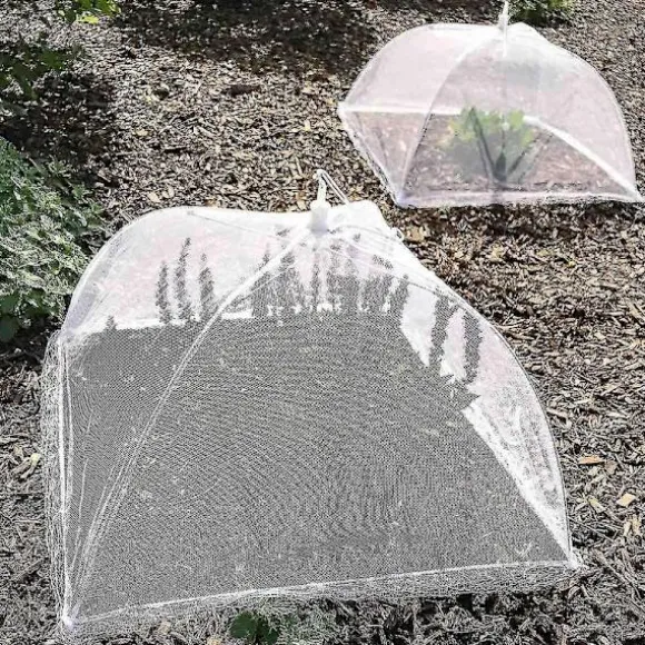 Insektsavvisande Matnät Parasoll 43x43cm för Utomhusbruk (LGL)