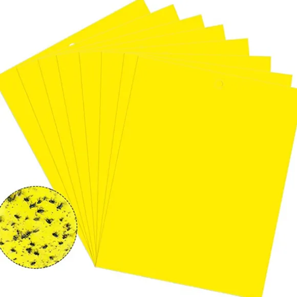 Klibbig fälla för skadeinsekter Flugfångare 20-pack Gul 20x10 cm