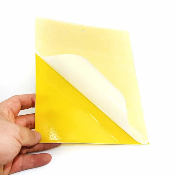 Klibbig fälla för skadeinsekter Flugfångare 20-pack Gul 20x10 cm