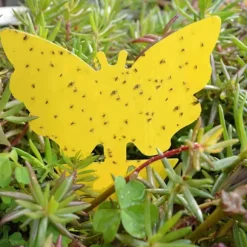 100-pack - Flugfälla / Flugfälla / Myggfångare - Fångar flugor Yellow Gul