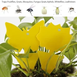 60-Pack - Flugfångare / Flugfälla / Myggfångare - Fångar flugor