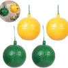4-pack flygboll fruktfluga citrus stor fruktfluga klisterbräda fruktfluga boll fruktaffär fruktfluga sticky needle bifälla (gul + grön)