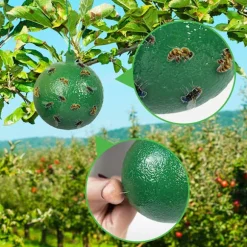 4-pack flygboll fruktfluga citrus stor fruktfluga klisterbräda fruktfluga boll fruktaffär fruktfluga sticky needle bifälla (gul + grön)