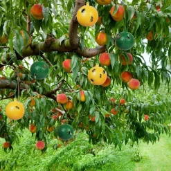 4-pack flygboll fruktfluga citrus stor fruktfluga klisterbräda fruktfluga boll fruktaffär fruktfluga sticky needle bifälla (gul + grön)