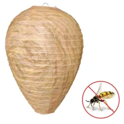 4st Getingfällor giftfritt lockbete av papper, avskräckande för bin - Getingbo Beige