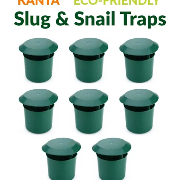 Trädgårdssnigel- och snigelfälla Miljövänlig giftfri plast Skadedjursfångare Låda Säker Utomhus Trädgårdsblommor (8-pack)