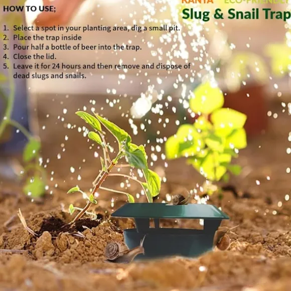 Trädgårdssnigel- och snigelfälla Miljövänlig giftfri plast Skadedjursfångare Låda Säker Utomhus Trädgårdsblommor (8-pack)
